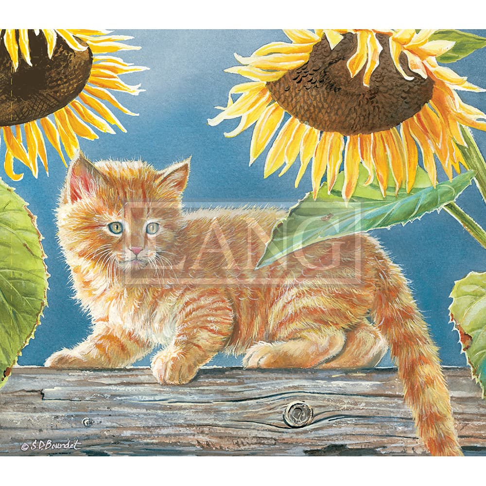 2023 cats in the country wallpaper september width=&quot;1000&quot; height=&quot;1000&quot;